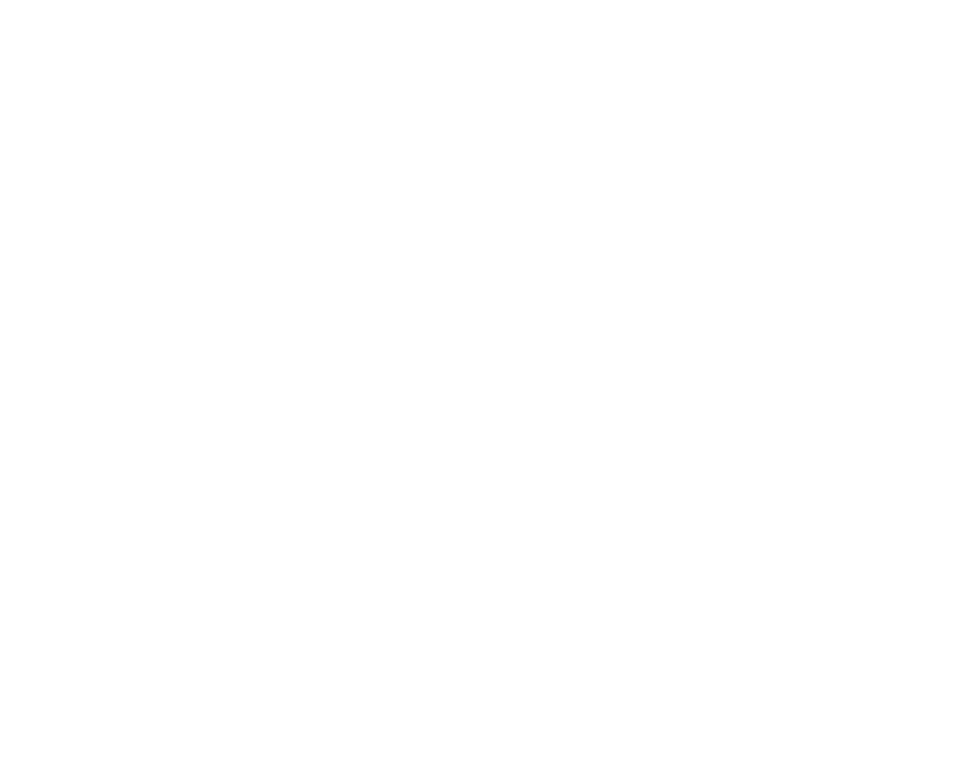 Logo 1. Dart Club 1982 Erlensee e.V.